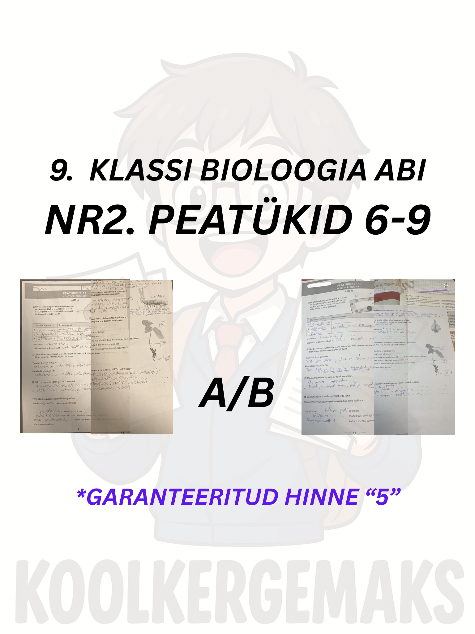 KT ABI NR2